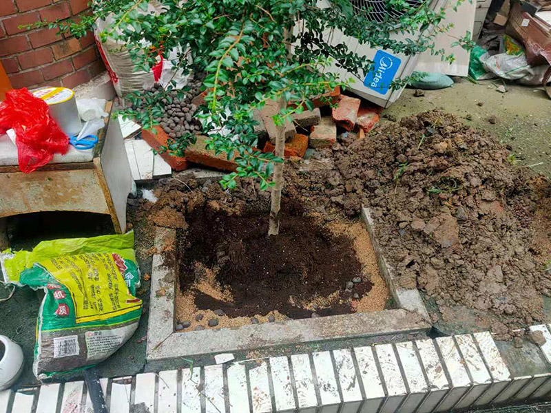庭院植物底部防水：找到本來(lái)的防水層，由于防水層不是顯露的，是在面層下部，有必要將面層進(jìn)行悉數(shù)根除，找到本來(lái)的防水層。將原防水層根除以后，找平，將本來(lái)下部保溫層里存的水進(jìn)行排干，設(shè)一些排氣孔做排氣辦法，將保溫層里的水分排干。做完防水層以后，必定要做找坡處理，不要形成屋面部分存水，通常設(shè)置水泥砂漿找平找坡，找坡的斜度不小于3%。再進(jìn)行閉水實(shí)驗(yàn)，不漏水為合格，再進(jìn)行康復(fù)上面的維護(hù)及鋪貼面磚裝修。