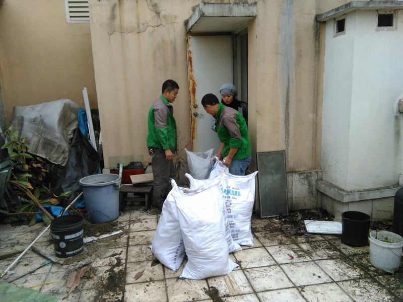 花園改造注意事項(xiàng)，警惕植物根系穿刺防